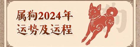 2024狗年運程1982|1982年属狗人2024年运势及运程详解 82年出生42岁生。